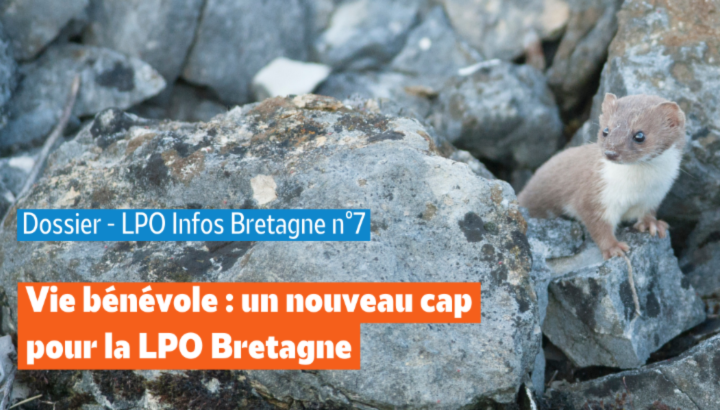Découvrez le dossier du nouveau LPO Info Bretagne !